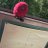 rana__Y24