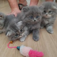 Fizikçi demir (@betulde94940501) 's Twitter Profile Photo Fizikçi demir (@betulde94940501) 's Twitter Profile Photo
