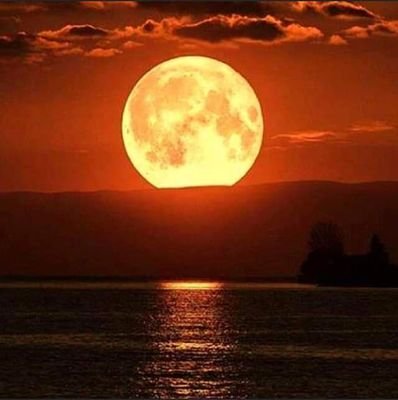 mr_Ziplock_'s profile picture. Just do what you say,and say what you do.