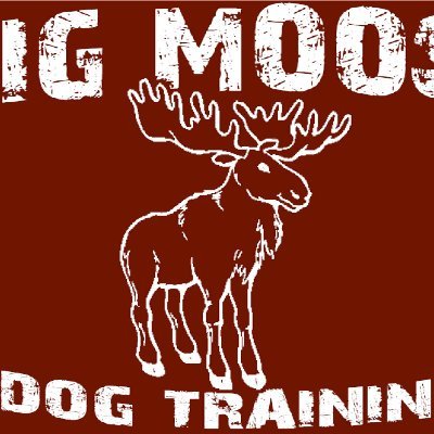 CPDT-KSA AKC GCG & C.L.A.S.S. Evaluator DMWYD Trick Instructor & Canine Conditioning Coach