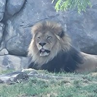 Gutierrez_0 (@badboigutierrez) 's Twitter Profile