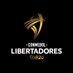 CONMEBOL Libertadores Sub-20 (@LibertadoresU20) Twitter profile photo