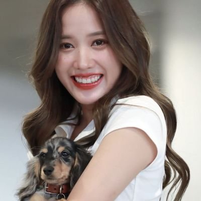 JosefinaC95's profile picture. 