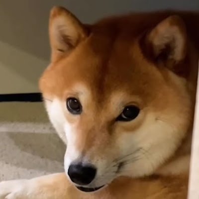 unknownofy's profile picture. 