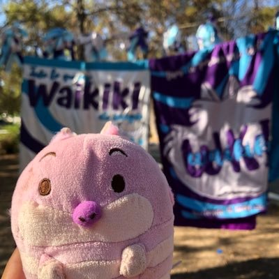 wkiktny's profile picture. nunca fue tan fácil ganarse el cielo💜💜