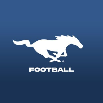 Official account of the Friendswood Mustangs. #LevelUp