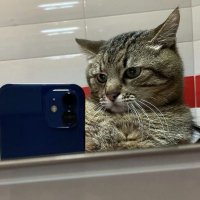 blabla (@_swymd) 's Twitter Profile Photo blabla (@_swymd) 's Twitter Profile Photo