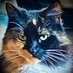 Chief Cat (@chiefgolfcat) Twitter profile photo Chief Cat (@chiefgolfcat) Twitter profile photo