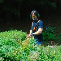 Fungible Facts (@ncstevecb) 's Twitter Profile