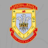 Central Wales FA (@centralwalesfa) 's Twitter Profile Photo Central Wales FA (@centralwalesfa) 's Twitter Profile Photo