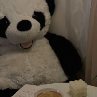 実際ぱんだ (@zissai_panda) 's Twitter Profile