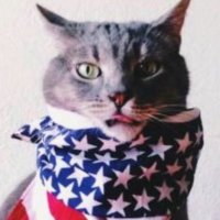 Patriot Cat(@PatriotCat52) 's Twitter Profile Photo