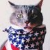 Patriot Cat (@PatriotCat52) Twitter profile photo