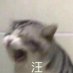 呼呼 (@ridiculous23333) Twitter profile photo 呼呼 (@ridiculous23333) Twitter profile photo