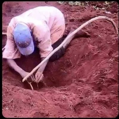 Ole_ks's profile picture. just me