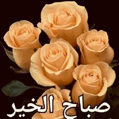 HhiHhh191654's profile picture. 