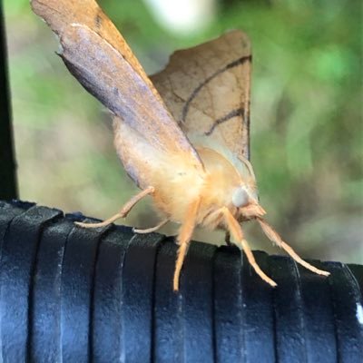 Fotografie, natuur, muziek, percussie, docent op het mbo. Foto’s zijn door mezelf gemaakt, tenzij anders vermeld of RT.