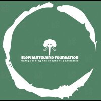 Elephantguard foundation (@elephantguardf) 's Twitter Profile