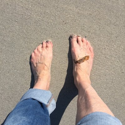 skrubjay's profile picture. trying to respond accordingly • sea edges, Viking boat burials, ecogrief, wading birds, rematriation 🌱 MA student contemporary art & archaeology UHI Orkney