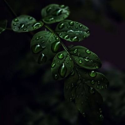 sjrldr802656853's profile picture. قال النبي الاكرم (ص) 
إن لكل شيء دواء ودواء الذنوب الإستغفار