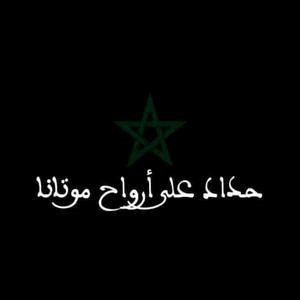 SehrawiSimo's profile picture. 