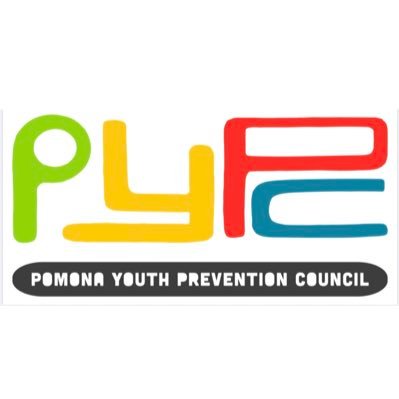 In collaboration with Prototypes, Project Sister, P3 and NCADD, PYPC organizes youth around prevention projects and addresses community concerns. #PYPC