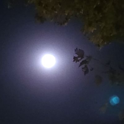 eli_barri's profile picture. Mujer, madre, feminista, socialista. Y un montón de cosas más. Quién no se mueve, no siente sus cadenas (Rosa de Luxemburgo)