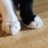 jen_angier's profile image