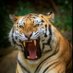MARIO CARRASCO RODRIGUEZ (@maricar65573247) Twitter profile photo