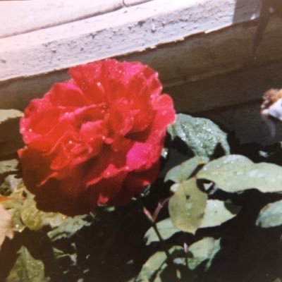 UncleD88888's profile picture. 