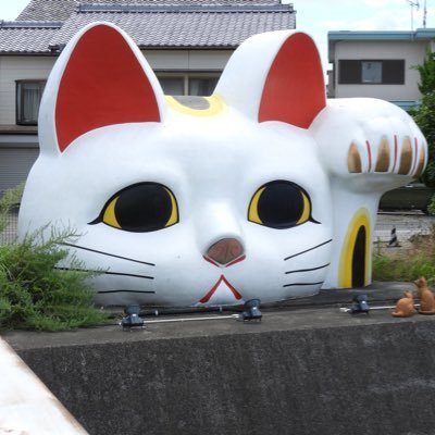 luffy_R2's profile picture. onepice(ワンピース）,お城巡り、鉄道オタ、中日ドラゴンズ、SKE48菅原さん、太田さん、末永さん、北野さん、女優大場さん、ゆきりん推しのオヤジです。