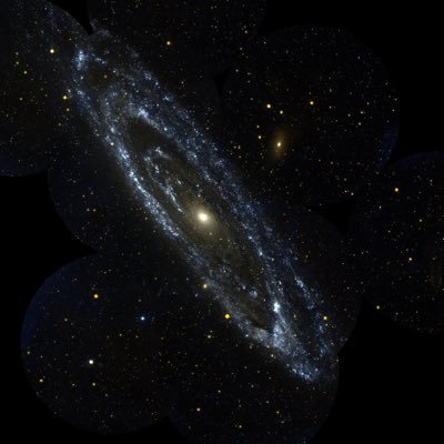 fibon Profile