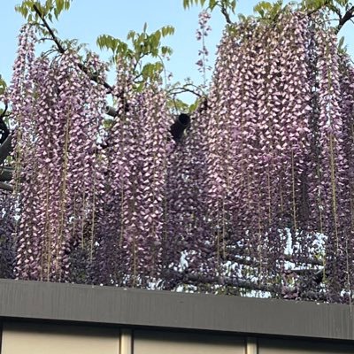 ohu_paku's profile picture. 目的は1つ！DM待ってます！千葉県在住！