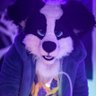 Kasper_fur's profile picture. Hi! I am a dog living in Moscow 🇷🇺.  | Stage crew |     | Music as the meaning of life🎧 | I like the paws 🐾 | 29 lvl |