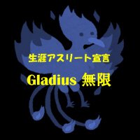 にっしー＠『Gladius 無限』生涯アスリート応援 ✨夢はいつまでも終わらない✨(@PhoenixMugen) 's Twitter Profile Photo