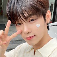 ๐บ (@jeonghyns) 's Twitter Profile