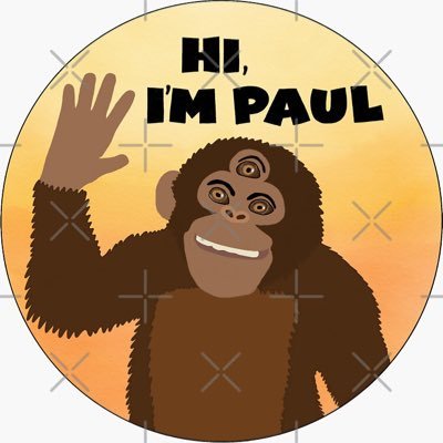 PaulGoneWild's profile picture. Hi I’m Paul!! All videos personally field tested! tip ur boi I’m poor 😢
