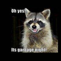 ScrapRaccoon (@scrap_raccoon72) 's Twitter Profile