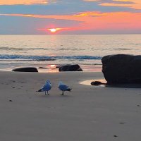 Food & Fun (@foodfun70336745) 's Twitter Profile