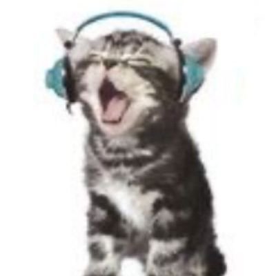 bupisv's profile picture. ✩✩✩Publicamos “Ring Ring+503” En Wattpad y Ao3✩✩✩
(2 admins)
✩Didi y Homi✩