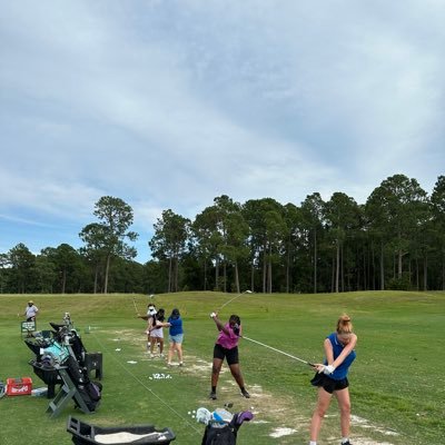 RVWOMENSGOLF Profile Picture