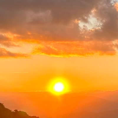 sayres__'s profile picture. 