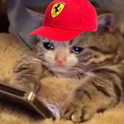 IreneFerrari19's profile picture. in love with 🏍️🏎️🫶🏻 and 🏰🪄