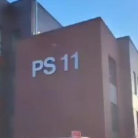 PS11Q (@ps11q) 's Twitter Profile