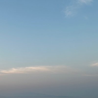 Rose20630759288's profile picture. 