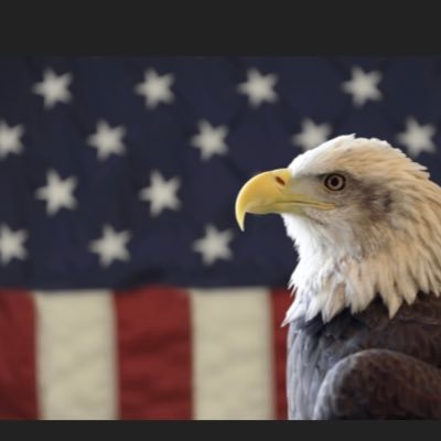 ProudPatriot999's profile picture. Conservative- #AmericaFirst #iFBAP