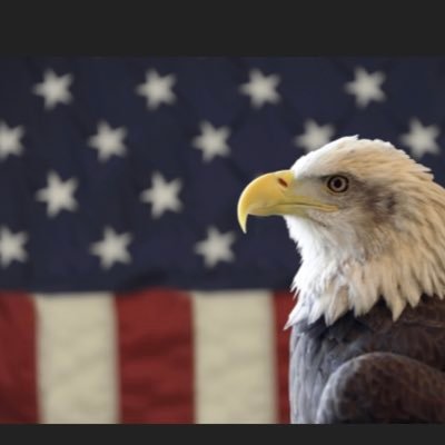 ProudPatriot999 Profile Picture