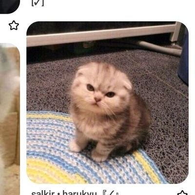 IHarssh's profile picture. Nothing