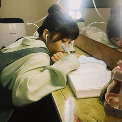CPA in transit 𖦹ָ ⟡ 🍃 . 𖥻˖ ¡ . ٬٬ ، ☘️ ☆ #studytwt