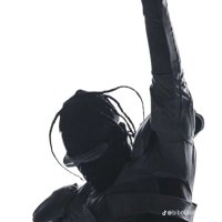 zelo (@zelofv) 's Twitter Profile
